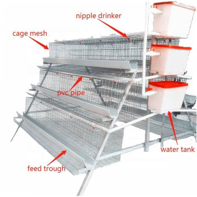 Chicken Cages
